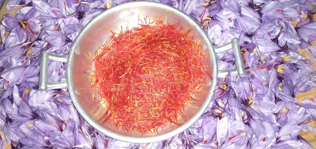 A flavorful saffron-infused dish garnished with vibrant saffron threads and styled with a fresh saffron flower for an elegant presentation. This image captures the luxurious essence of saffron in both its culinary and natural forms, adding a touch of color and sophistication to the plate.